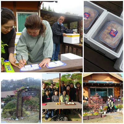 お茶のライセンス